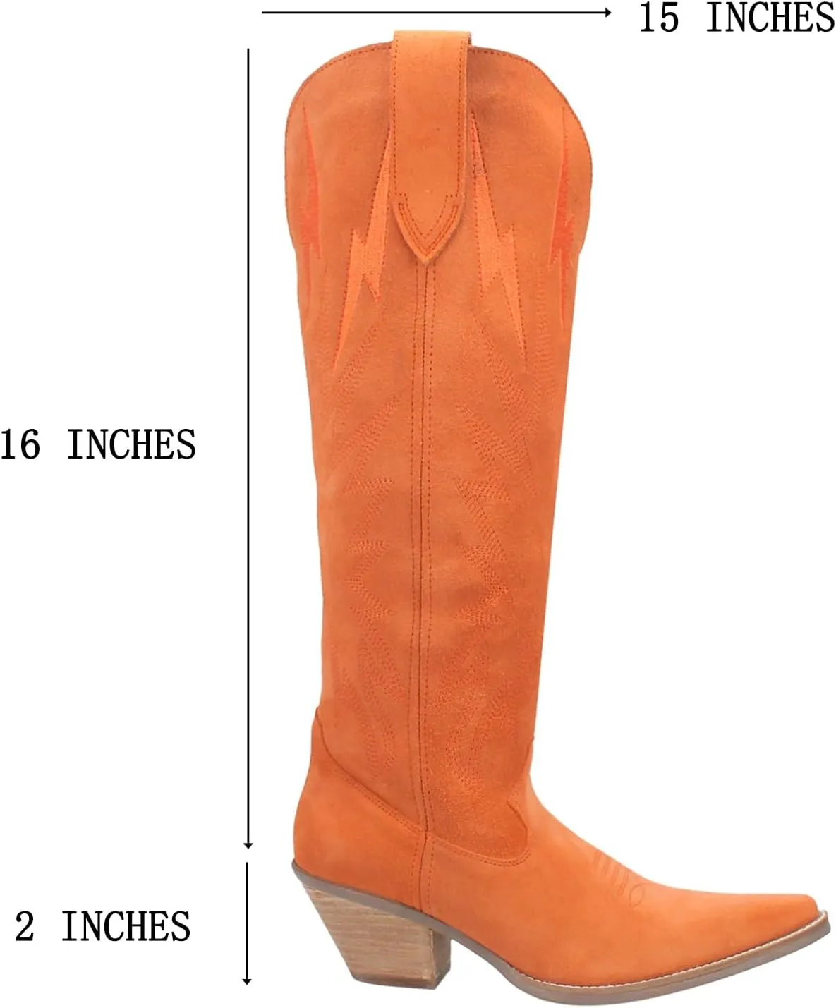 SHODENSE Women Suede Knee High Cowgirl Cowboy Boots Embroidered Stacked Heel Pointed Toe Tall Western Boots Pull On Wide Calf Low Chunky Heel Dress Long Boots Vintage Casual 4-11 M US